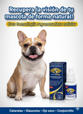 Pets Vision X 15 ML